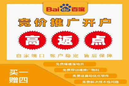 某电商平台的SEM服务全解析